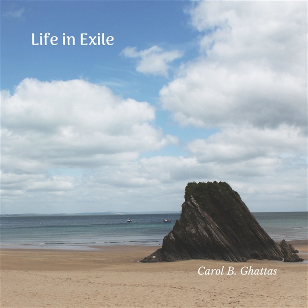 Artwork for Life in Exile