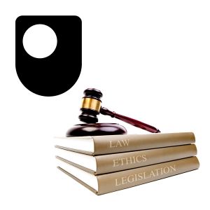 Artwork for Life in Law