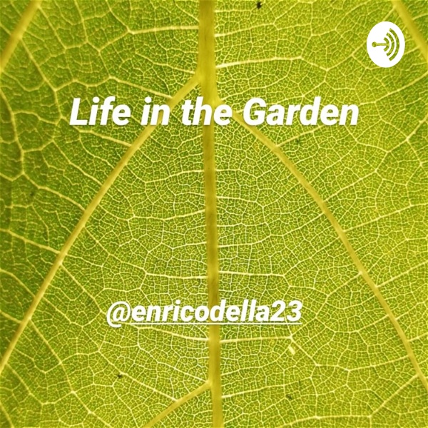 Life in the Garden