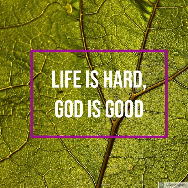 Artwork for Life is Hard, God is Good