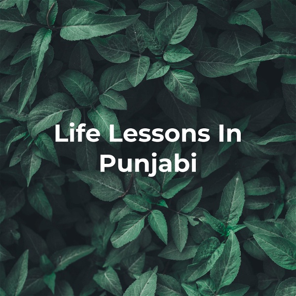 Artwork for Life Lessons In Punjabi