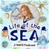 Life of the SEA