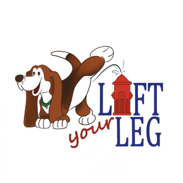 Artwork for Lift Your Leg