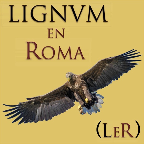 Artwork for LIGNUM EN ROMA
