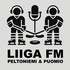Liiga FM