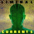 Liminal Currents