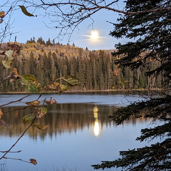 Artwork for Line in the Sand