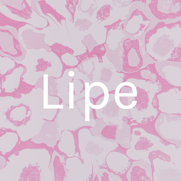Artwork for Lipe