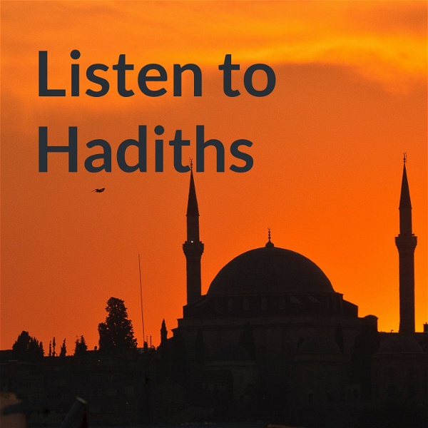 Artwork for Listen to Hadiths