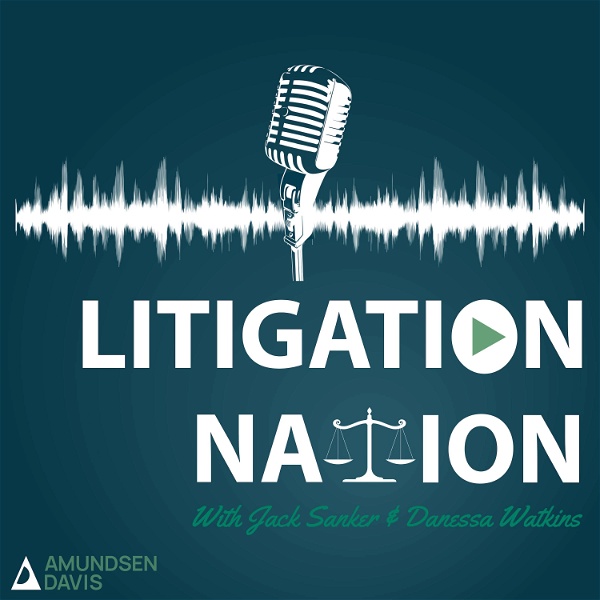 Artwork for Litigation Nation