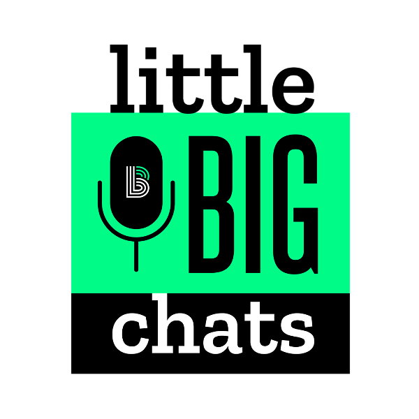 Artwork for Little Big Chats: The Big Brothers Big Sisters of Metro Milwaukee Podcast