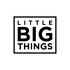 LITTLE BIG THINGS