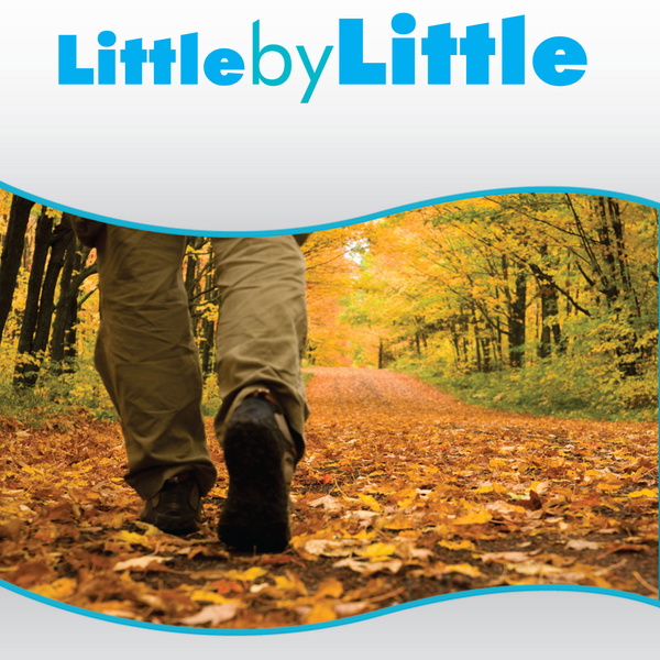 Artwork for Little by Little Daily Devotional