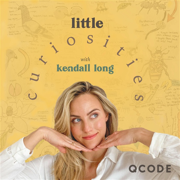 Artwork for Little Curiosities With Kendall Long