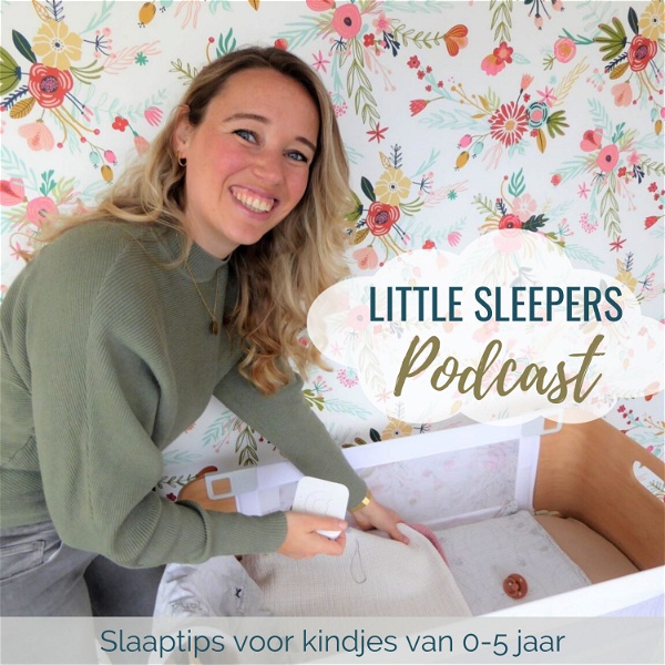 Artwork for Little Sleepers Podcast