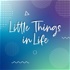 Little Things in Life