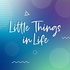 Little Things in Life