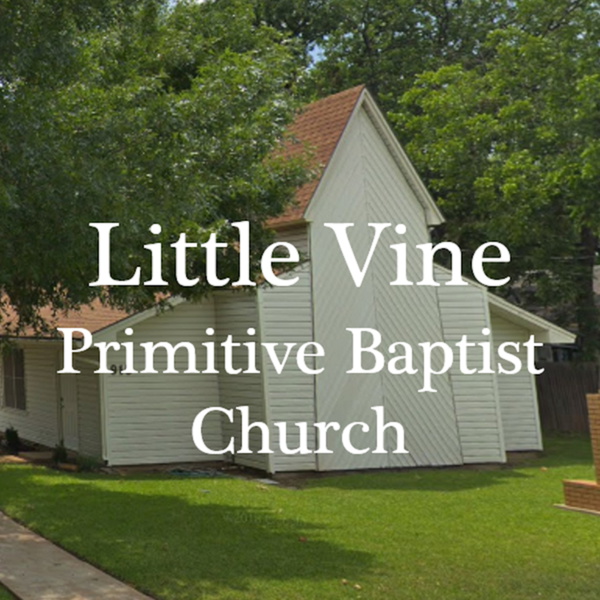 Artwork for Little Vine Primitive Baptist Church
