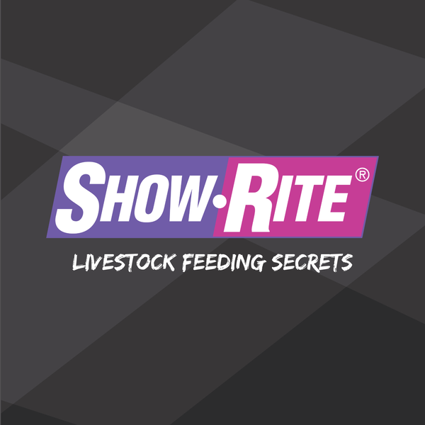 Artwork for Livestock Feeding Secrets