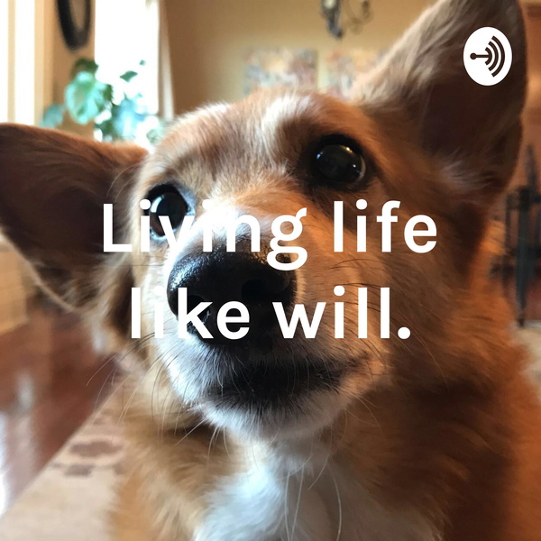 Artwork for Living life like will.