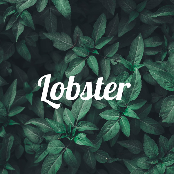 Artwork for Lobster
