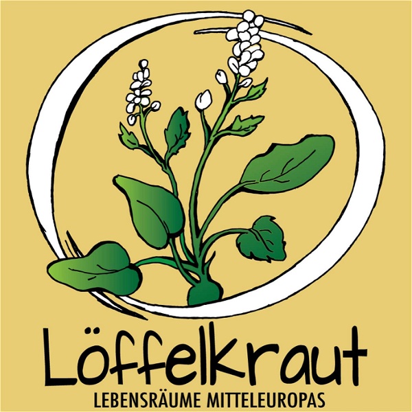Artwork for Löffelkraut