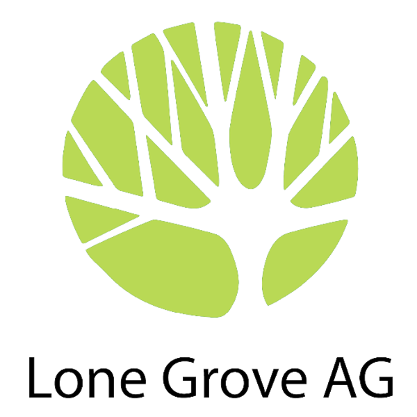 Artwork for Lone Grove Assembly of God Services
