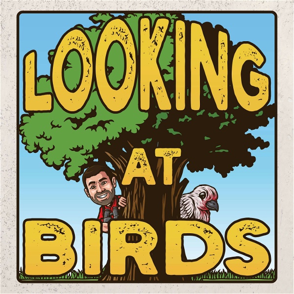 Artwork for Looking at Birds: A Birding Podcast