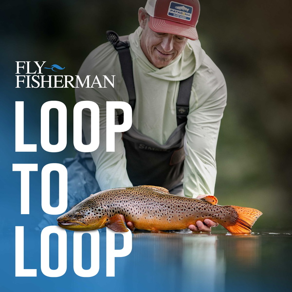 Artwork for Loop to Loop