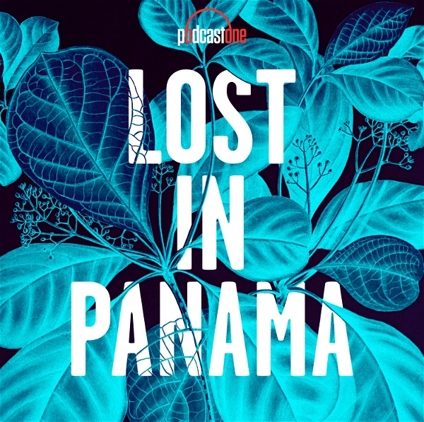 Artwork for Lost In Panama
