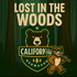 Lost in the Woods: A California Redwoods Podcast