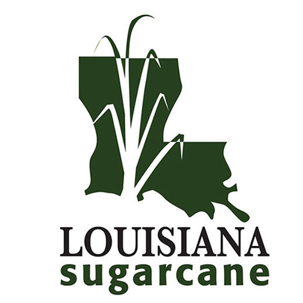 Artwork for Louisiana Sugarcane News