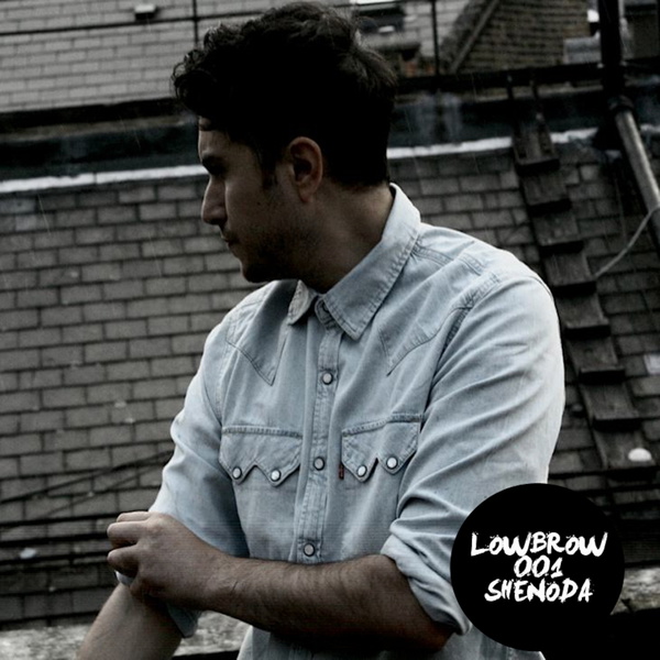 Artwork for Lowbrow Podcasts