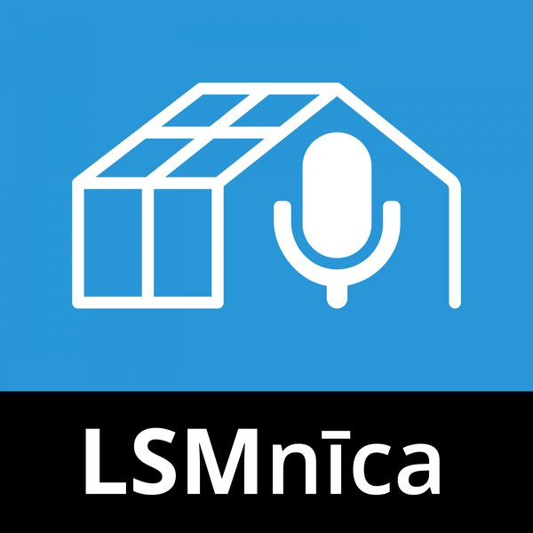 Artwork for LSMnīca