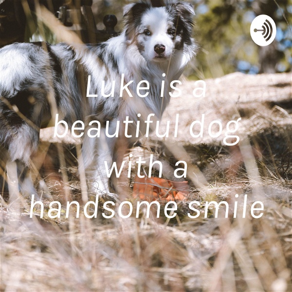 Artwork for Luke is a beautiful dog with a handsome smile