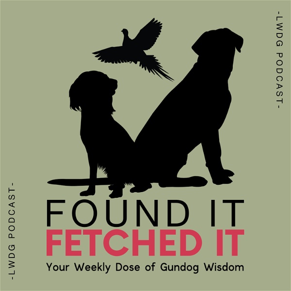 Artwork for Found It, Fetched It
