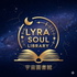 Lyra Soul Library 宇宙圖書館｜身心靈顯化實驗室：創造富足、健康與愉悅人生