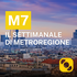 M7 - il settimanale di Metroregione