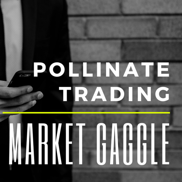 Artwork for The Market Gaggle by Pollinate Trading