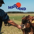 Madland