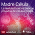 Madre Célula