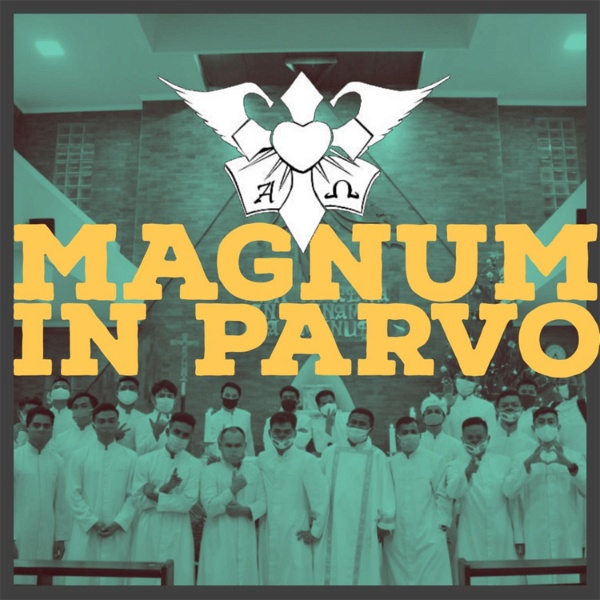 Artwork for Magnum in Parvo