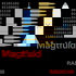 Magtfuld