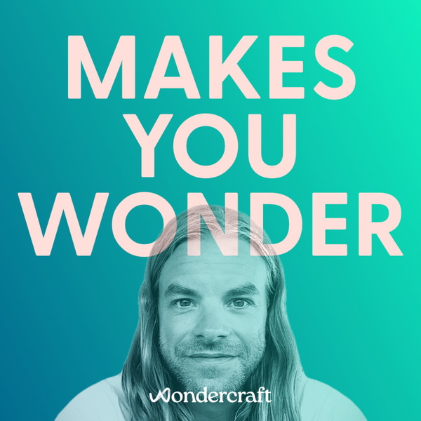 Artwork for Makes You Wonder