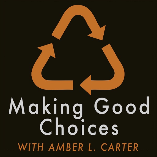 Artwork for Making Good Choices