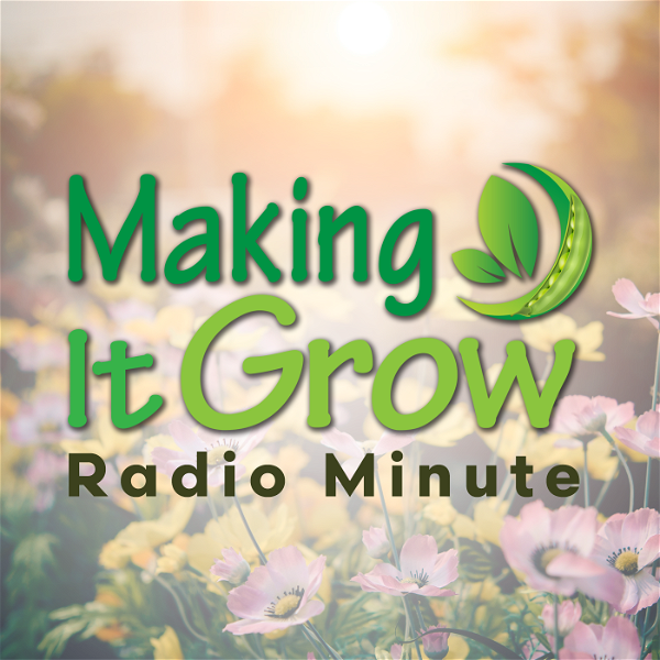Artwork for Making It Grow Minutes