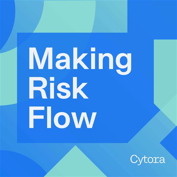 Artwork for Making Risk Flow