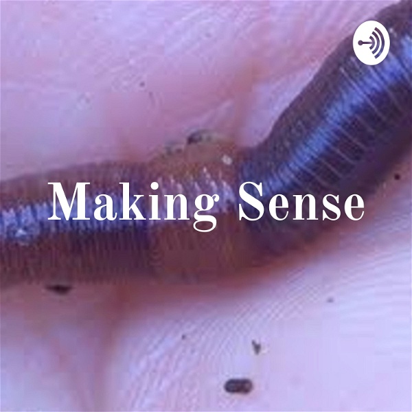Artwork for Making Sense: Irony at Its Best