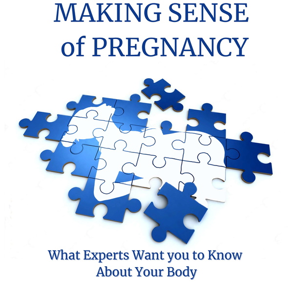 Artwork for Making Sense of Pregnancy: What Experts Want you To Know About Your Body