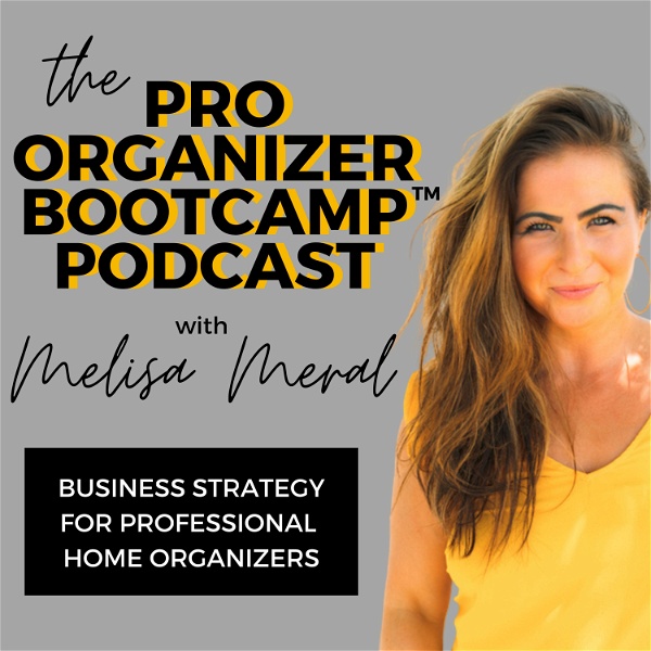 Artwork for Pro Organizer Bootcamp: Business Strategy for Professional Organizers
